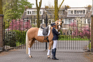 Bo Leijten
