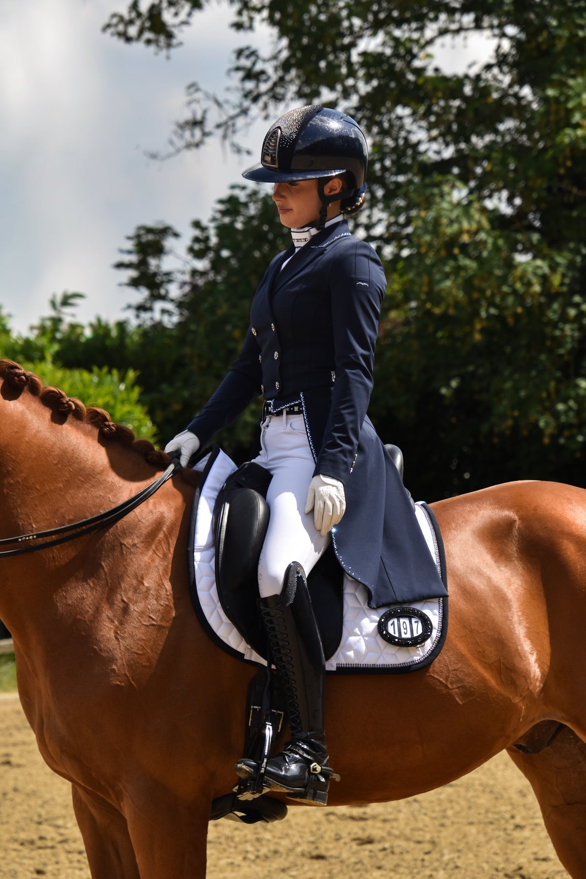 Close-up of a chestnut horse wearing a crystal browband and a black competition number on the bridle
